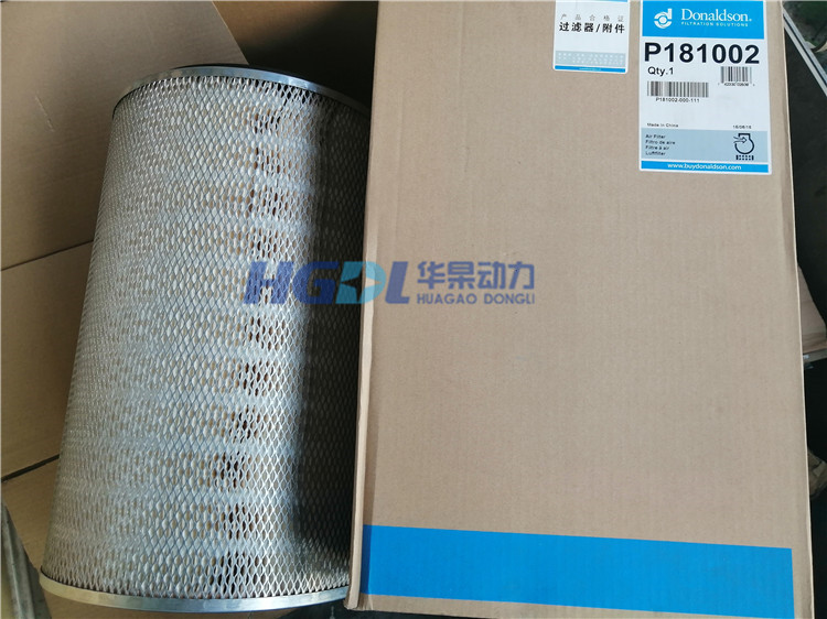 Air filter P181002