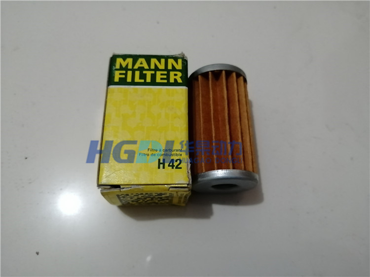 Fuel filter H42